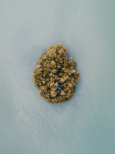 岛屿的航空摄影